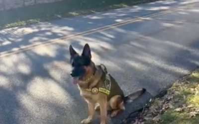 K-9 Sgt. Lanzer on Road Safety